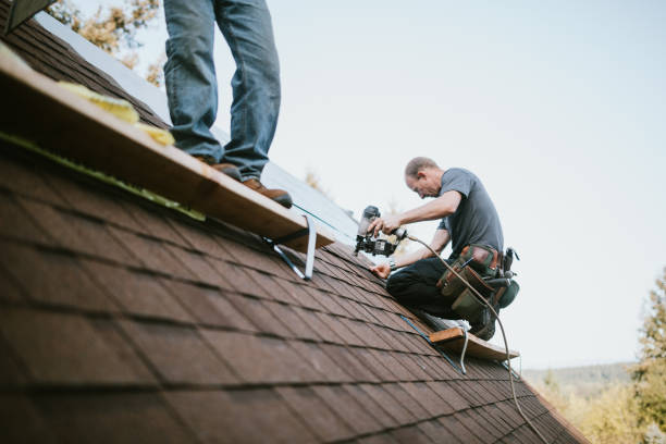 Best Roof Gutter Cleaning  in Arcanum, OH
